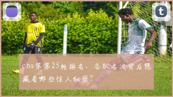 cba第第25轮排名，各队名次背后隐藏着哪些惊人秘密？