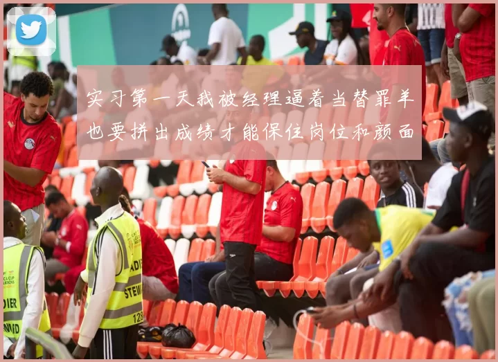 实习第一天我被经理逼着当替罪羊也要拼出成绩才能保住岗位和颜面